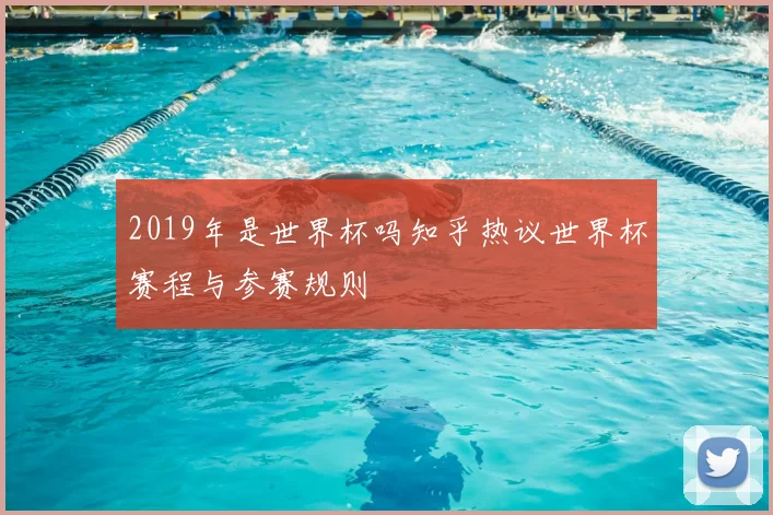 2019年是世界杯吗知乎热议世界杯赛程与参赛规则